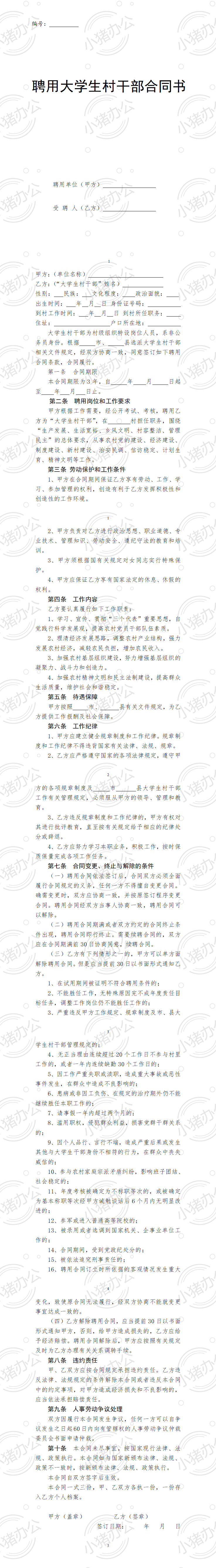 聘用大学生村干部合同书(word模板无水印可编辑)
